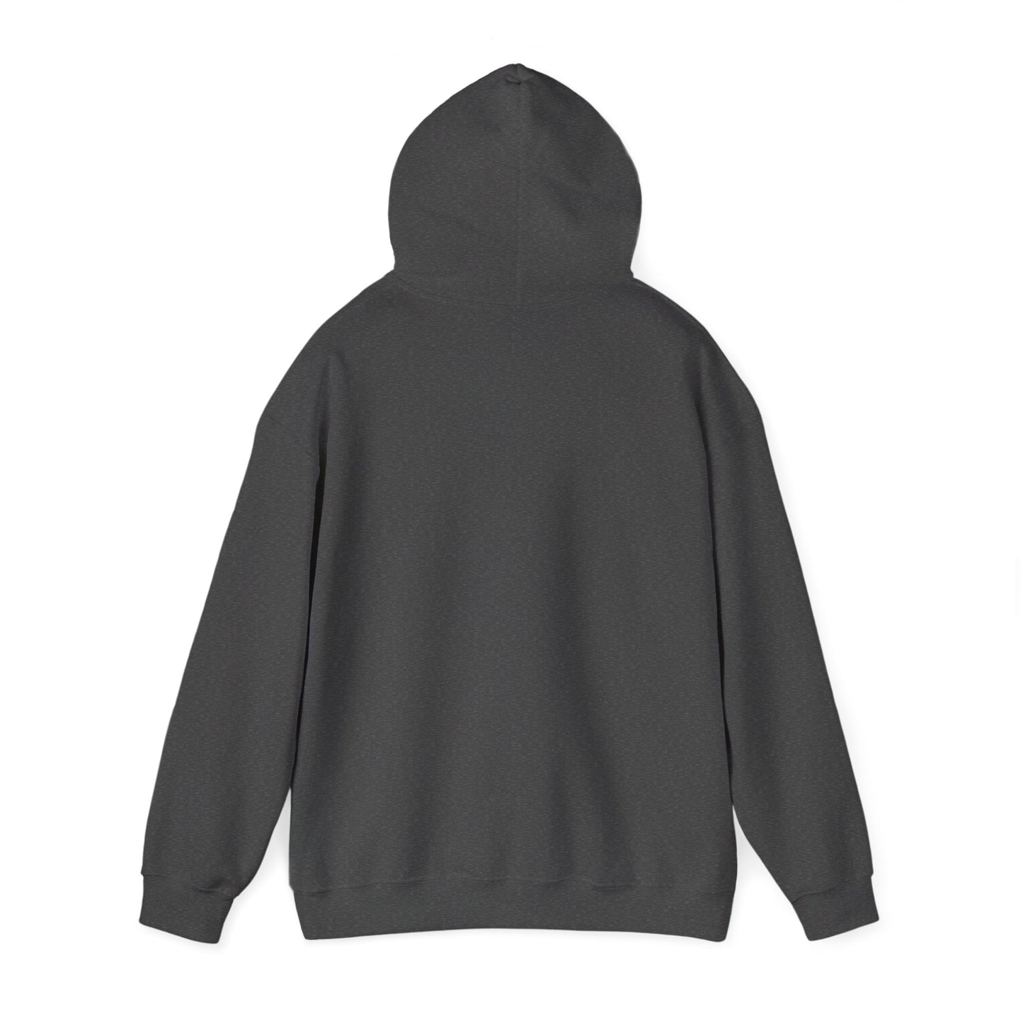 Adventure Awaits Hooded Sweatshirt, Unisex Hoodie for Outdoor Lovers, Campfire Sweatshirt, Hiking Gear, Cozy Adventure Apparel