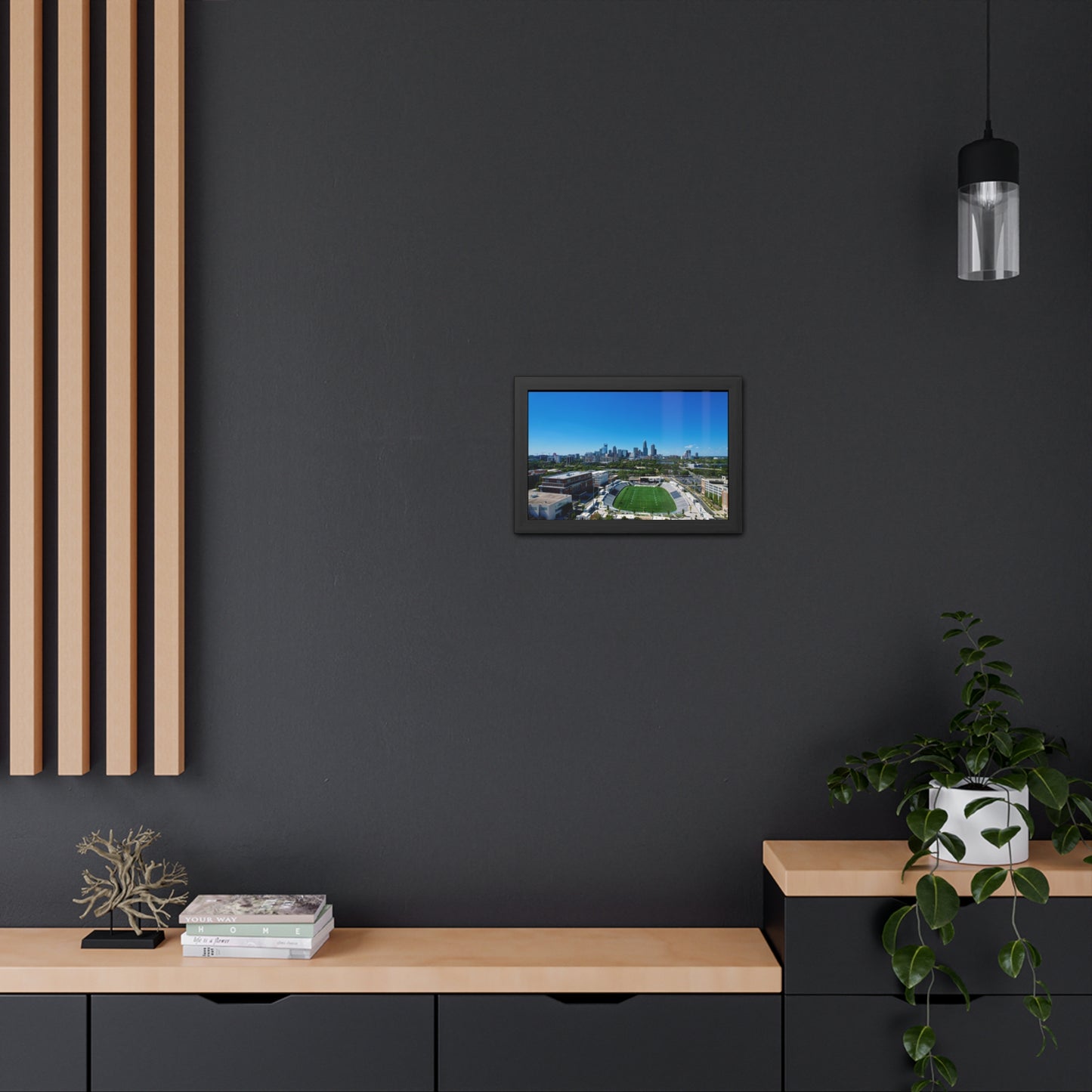 Framed Posters